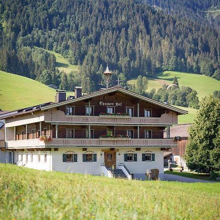 Appartment Thumerhof Wildschoenau Нидерау Экстерьер фото
