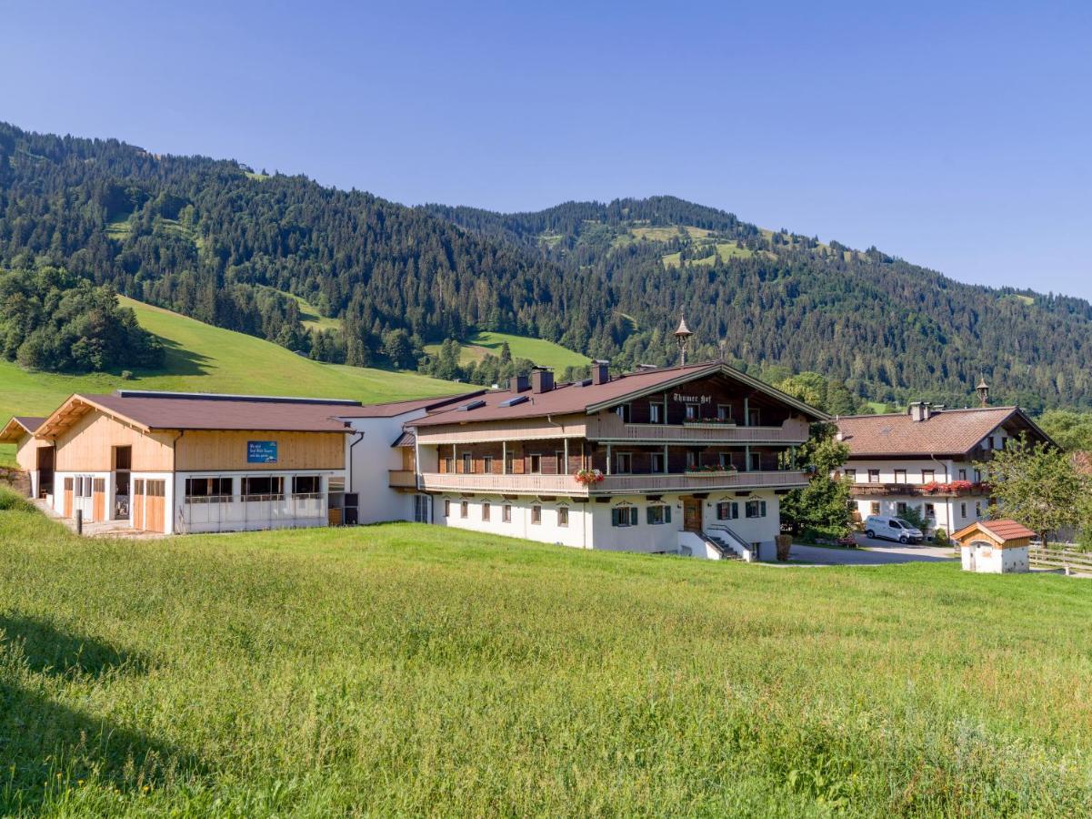 Appartment Thumerhof Wildschoenau Нидерау Экстерьер фото